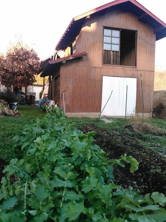 Вілла Madarao Farm Nakano  Екстер'єр фото