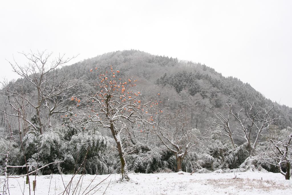 Вілла Madarao Farm Nakano  Екстер'єр фото